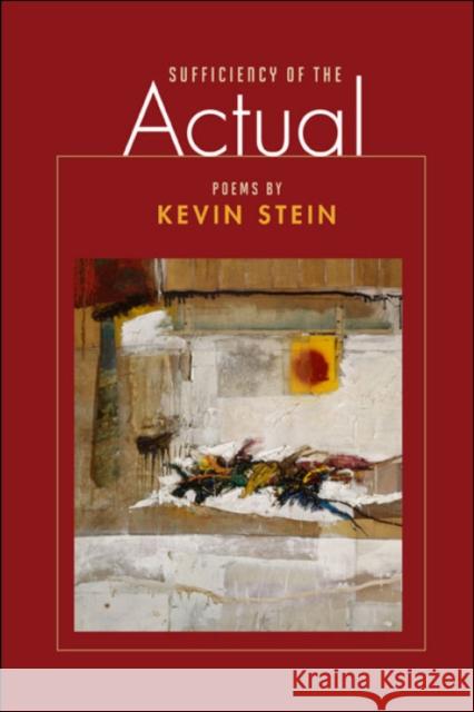 Sufficiency of the Actual Kevin Stein 9780252076008 University of Illinois Press