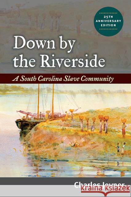 Down by the Riverside: A South Carolina Slave Community Joyner, Charles 9780252076831 University of Illinois Press