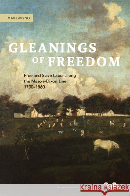 Gleanings of Freedom: Free and Slave Labor Along the Mason-Dixon Line, 1790-1860 Max Grivno 9780252080470 University of Illinois Press