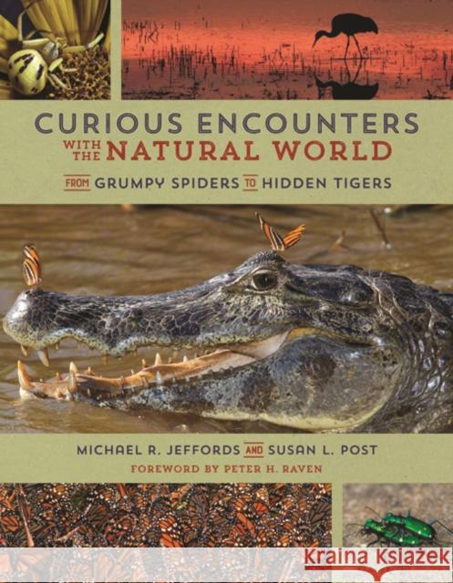 Curious Encounters with the Natural World: From Grumpy Spiders to Hidden Tigers Michael Jeffords Susan Post 9780252082665 University of Illinois Press