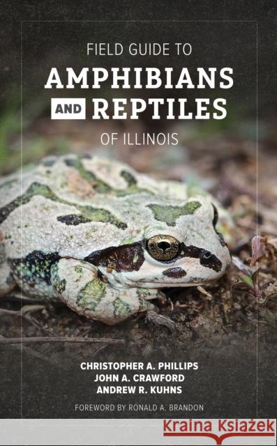 Field Guide to Amphibians and Reptiles of Illinois Christopher A. Phillips John A. Crawford Andrew R. Kuhns 9780252086342