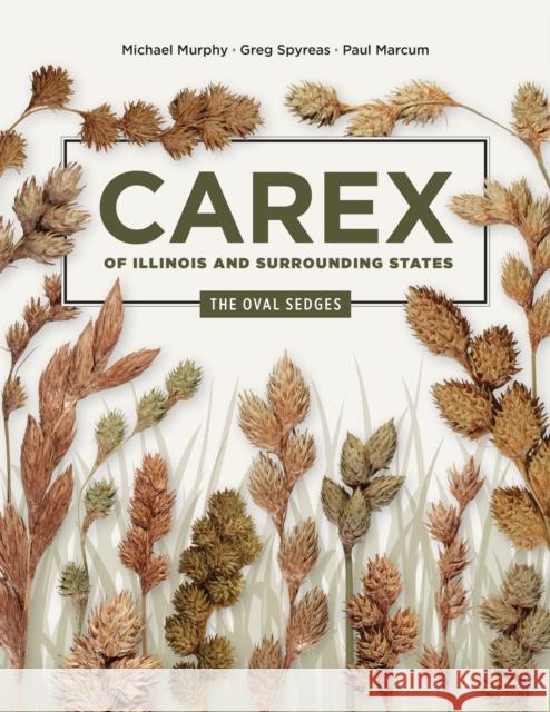 Carex of Illinois and Surrounding States: The Oval Sedges Paul Marcum 9780252088469 University of Illinois Press