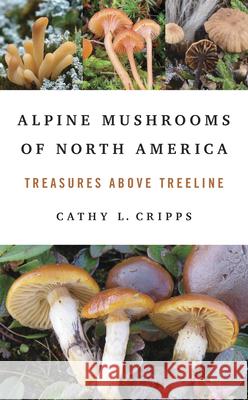 Alpine Mushrooms of North America: Treasures Above Treeline Cathy Cripps 9780252088933 University of Illinois Press