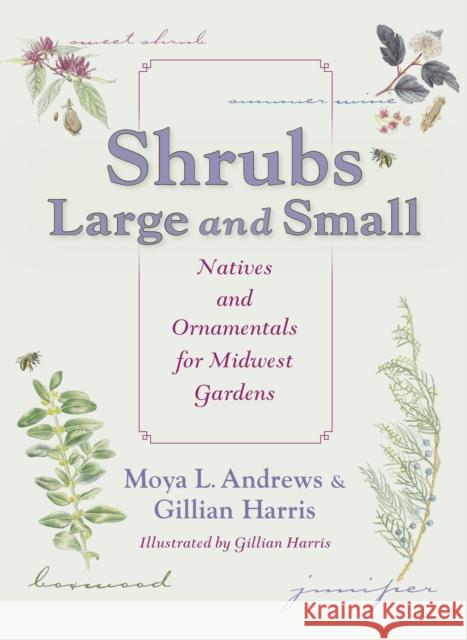 Shrubs Large and Small: Natives and Ornamentals for Midwest Gardens Andrews, Moya L. 9780253009067 Quarry Books