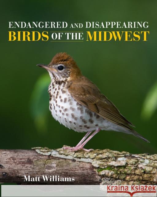 Endangered and Disappearing Birds of the Midwest Matt Williams Francesca Cuthbert David Ewert 9780253035271