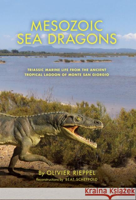 Mesozoic Sea Dragons: Triassic Marine Life from the Ancient Tropical Lagoon of Monte San Giorgio Olivier Rieppel 9780253040114