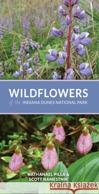 Wildflowers of the Indiana Dunes National Park Nathanael Pilla Scott Namestnik 9780253060419