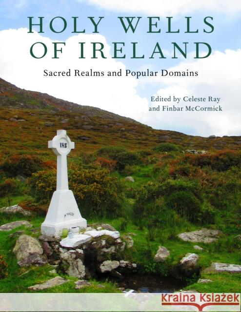 Holy Wells of Ireland: Sacred Realms and Popular Domains Celeste Ray Finbar McCormick Carol Barron 9780253066688 Indiana University Press