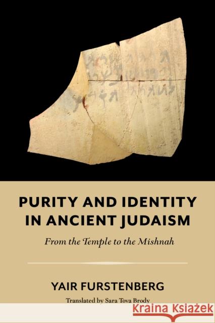 Purity and Identity in Ancient Judaism: From the Temple to the Mishnah Yair Furstenberg Sara Tova Brody 9780253067715 Indiana University Press