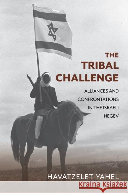 The Tribal Challenge: Alliances and Confrontations in the Israeli Negev Havatzelet Yahel 9780253070791 Indiana University Press