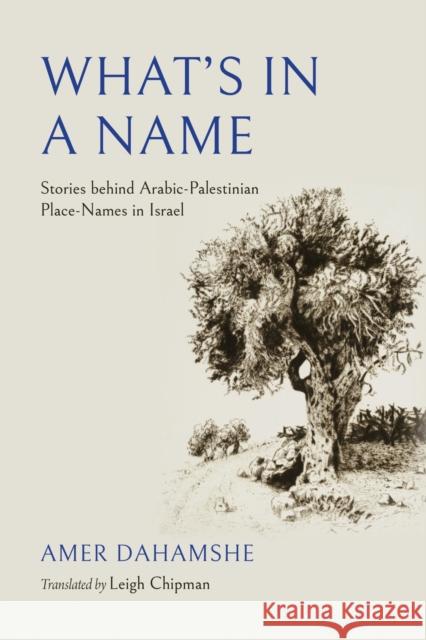What's in a Name: Stories Behind Arabic-Palestinian Place-Names in Israel Amer Dahamshe 9780253075185 Indiana University Press