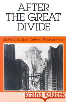 After the Great Divide: Modernism, Mass Culture, Postmodernism Andreas Huyssen 9780253203991 Indiana University Press