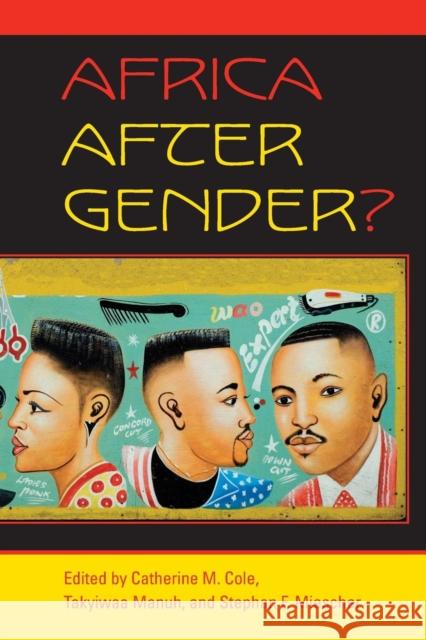 Africa After Gender? Catherine M. Cole Takyiwaa Manuh Stephan F. Miescher 9780253218773 Indiana University Press