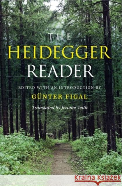 The Heidegger Reader Gnter Figal 9780253221278