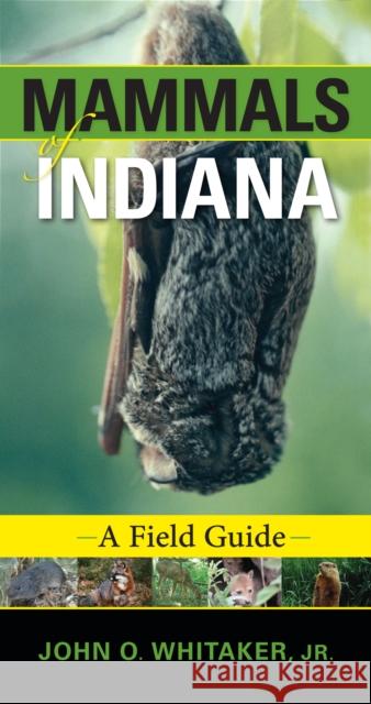 Mammals of Indiana: A Field Guide Whitaker Jr, John O. 9780253222138