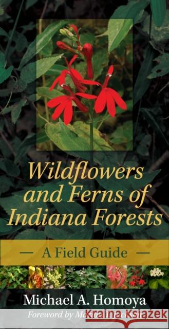 Wildflowers and Ferns of Indiana Forests: A Field Guide Michael A. Homoya Marion T. Jackson 9780253223258