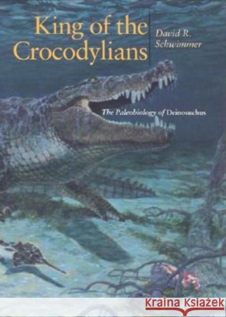 King of the Crocodylians: The Paleobiology of Deinosuchus David R. Schwimmer 9780253340870 Indiana University Press