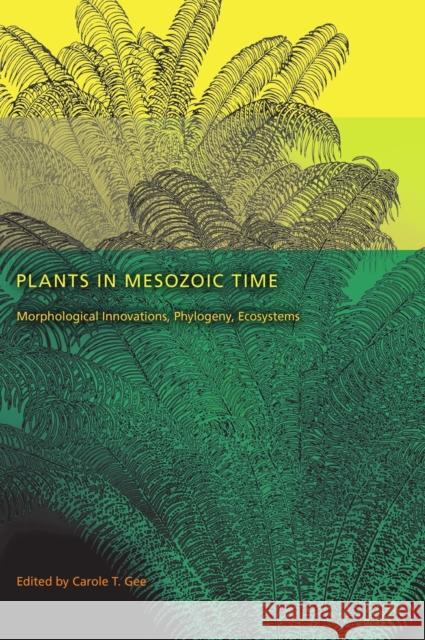 Plants in Mesozoic Time: Morphological Innovations, Phylogeny, Ecosystems Gee, Carole T. 9780253354563 Indiana University Press