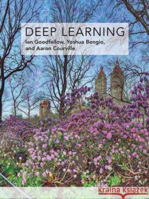 Deep Learning Ian Goodfellow Yoshua Bengio Aaron Courville 9780262035613 Mit Press