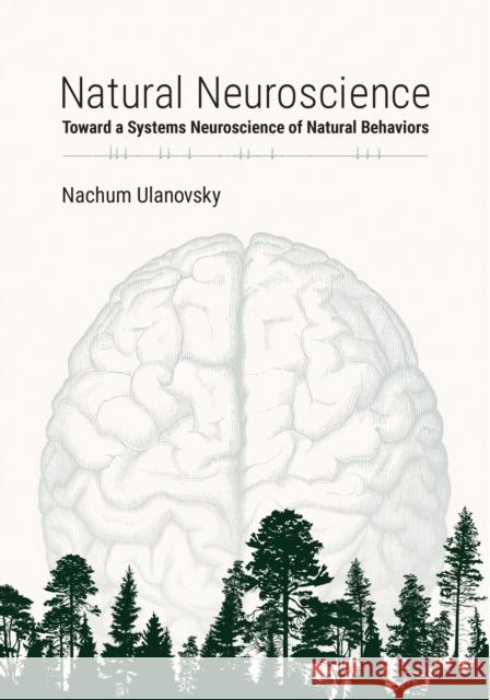 Natural Neuroscience: Toward a Systems Neuroscience of Natural Behaviors Nachum Ulanovsky 9780262044998 MIT Press