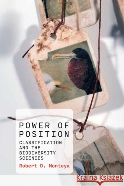 Power of Position: Classification and the Biodiversity Sciences Robert D. Montoya 9780262045278 MIT Press
