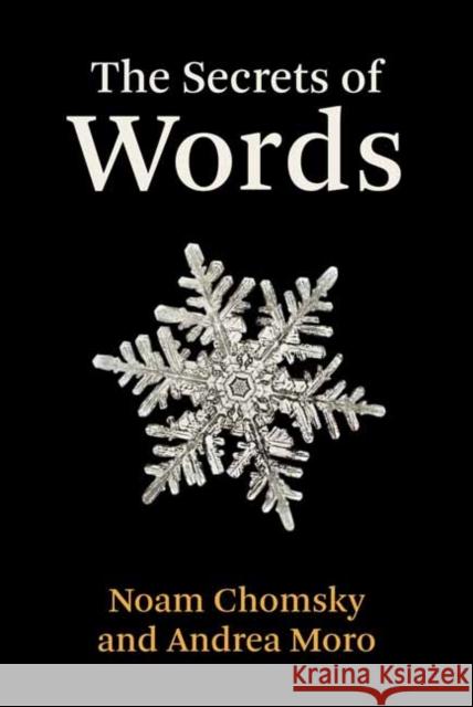 The Secrets of Words Noam Chomsky Andrea Moro 9780262046718
