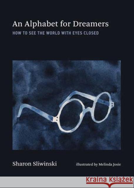 Alphabet for Dreamers, An: How to See the World with Eyes Closed Melinda Josie 9780262049795