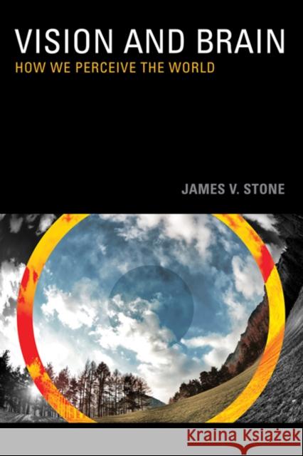 Vision: How We Perceive the World Stone, James V. 9780262517737 0