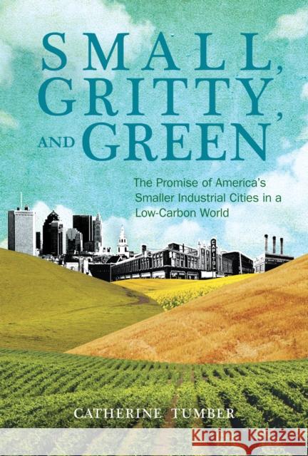Small, Gritty, and Green: The Promise of America's Smaller Industrial Cities in a Low-Carbon World Tumber, Catherine 9780262525312 MIT Press (MA)