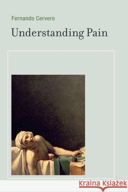 Understanding Pain: Exploring the Perception of Pain Cervero, Fernando 9780262526067 MIT Press (MA)