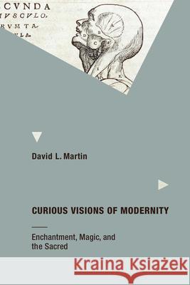 Curious Visions of Modernity: Enchantment, Magic, and the Sacred Martin, David L 9780262529464