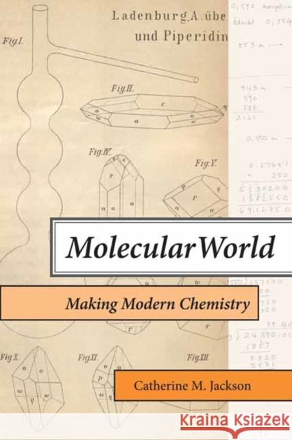 Molecular World: Making Modern Chemistry Catherine M. Jackson 9780262545549 MIT Press Ltd