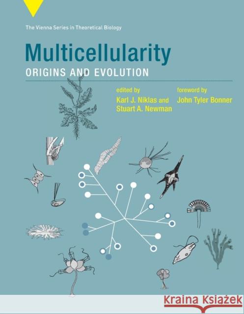 Multicellularity: Origins and Evolution Karl J. Niklas Stuart A. Newman John T. Bonner 9780262545853 MIT Press