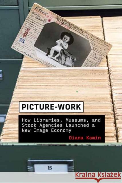 Picture-Work: How Libraries, Museums, and Stock Agencies Launched a New Image Economy Diana Kamin 9780262547000 MIT Press Ltd