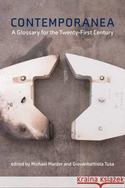 Contemporanea: A Glossary for the Twenty-First Century  9780262547628 MIT Press Ltd