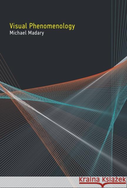 Visual Phenomenology Michael Madary 9780262549936 MIT Press