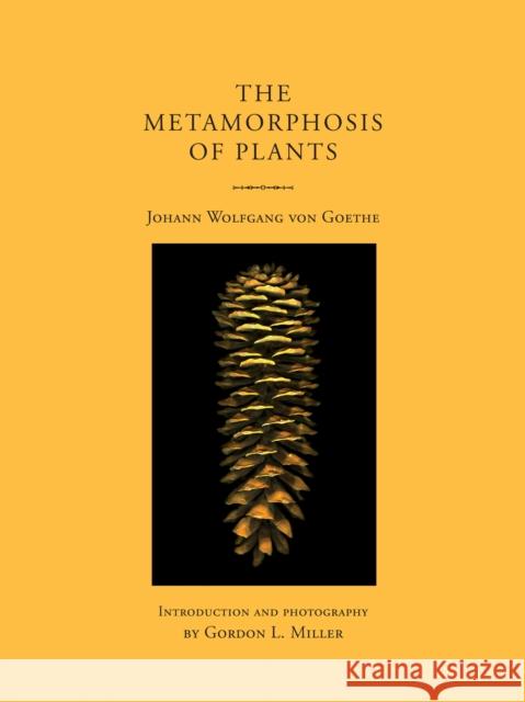 The Metamorphosis of Plants Johann Wolfgang Von Goethe Gordon L. Miller Gordon L. Miller 9780262551021 MIT Press Ltd