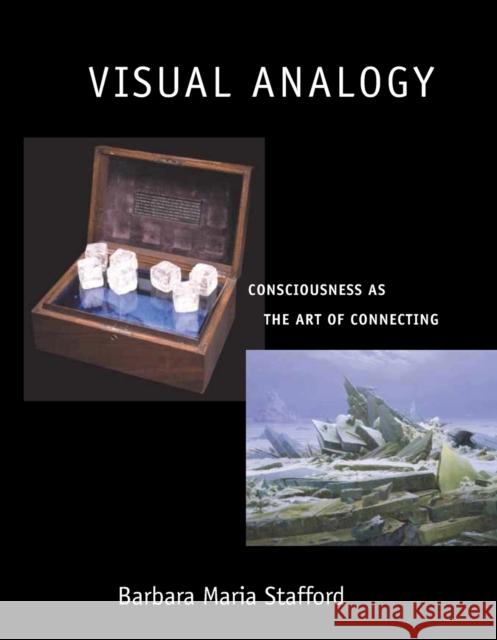 Visual Analogy: Consciousness as the Art of Connecting Stafford, Barbara Maria 9780262692670 MIT Press