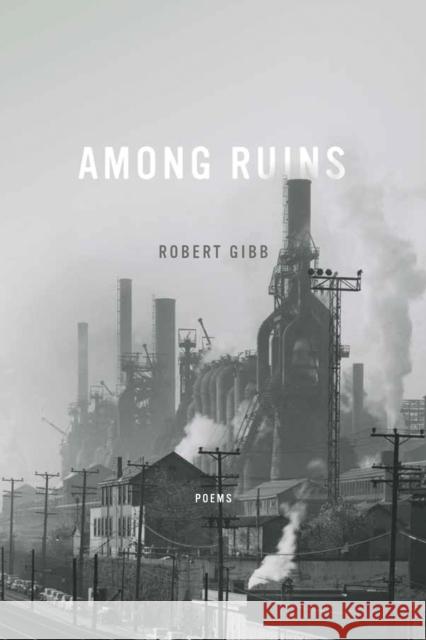 Among Ruins Robert Gibb 9780268102098 University of Notre Dame Press