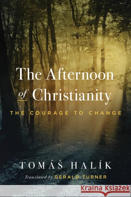 The Afternoon of Christianity: The Courage to Change Tom?s Hal?k Gerald Turner 9780268207472 University of Notre Dame Press