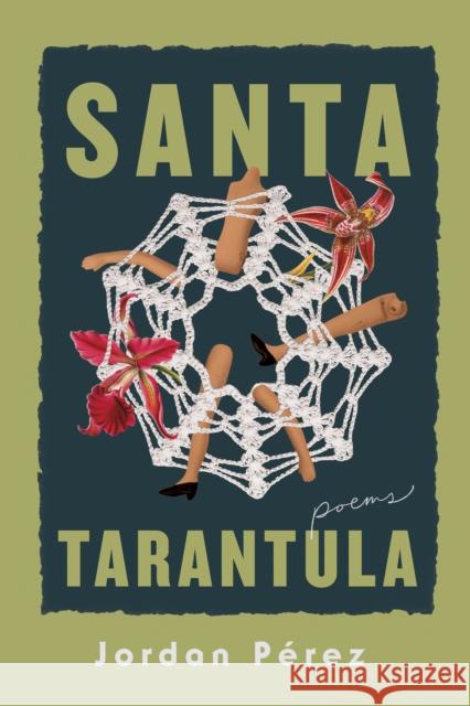 Santa Tarantula Jordan Perez 9780268207526 University of Notre Dame Press