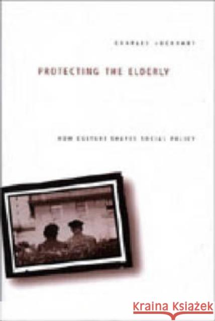 Protecting the Elderly: How Culture Shapes Social Policy Lockhart, Charles 9780271022895
