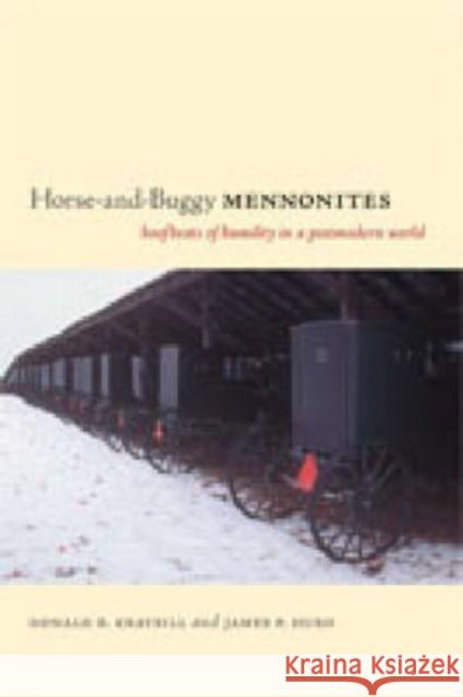 Horse-And-Buggy Mennonites: Hoofbeats of Humility in a Postmodern World Kraybill, Donald B. 9780271028651 Pennsylvania State University Press