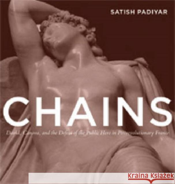 Chains: David, Canova, and the Fall of the Public Hero in Postrevolutionary France Padiyar, Satish 9780271029634 Pennsylvania State University Press