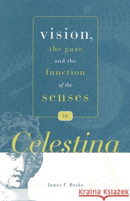 Vision, the Gaze, and the Function of the Senses in 