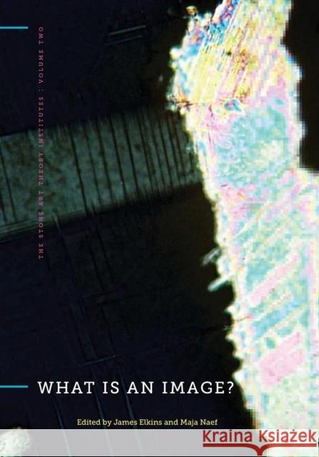 What Is an Image? James Elkins Maja Naef 9780271050652 Penn State University Press