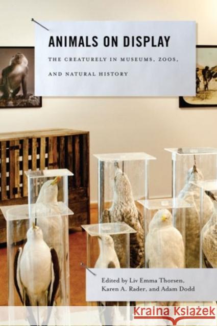 Animals on Display: The Creaturely in Museums, Zoos, and Natural History Thorsen, LIV Emma 9780271060705 Penn State University Press