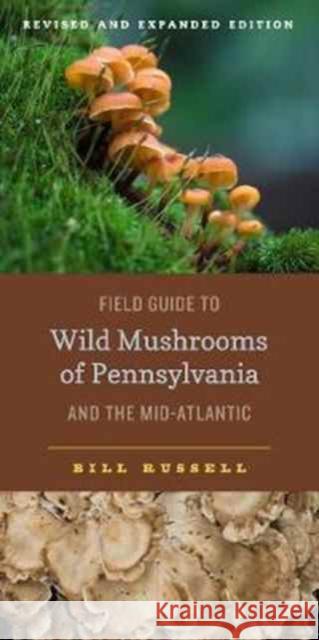 Field Guide to Wild Mushrooms of Pennsylvania and the Mid-Atlantic: Revised and Expanded Edition Bill Russell 9780271077802 Penn State University Press