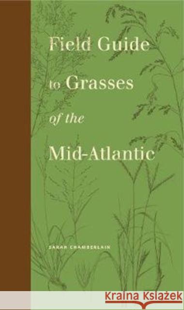 Field Guide to Grasses of the Mid-Atlantic Sarah Chamberlain 9780271078694 Penn State University Press