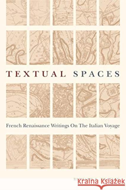 Textual Spaces: French Renaissance Writings on the Italian Voyage Richard E. Keatley 9780271081298 Penn State University Press